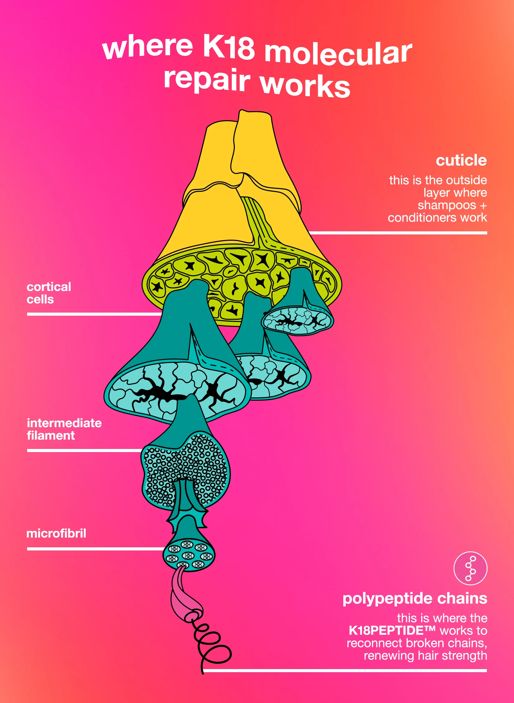 Full-Size Leave-In Molecular Repair Hair Mask 50mL - Image 8